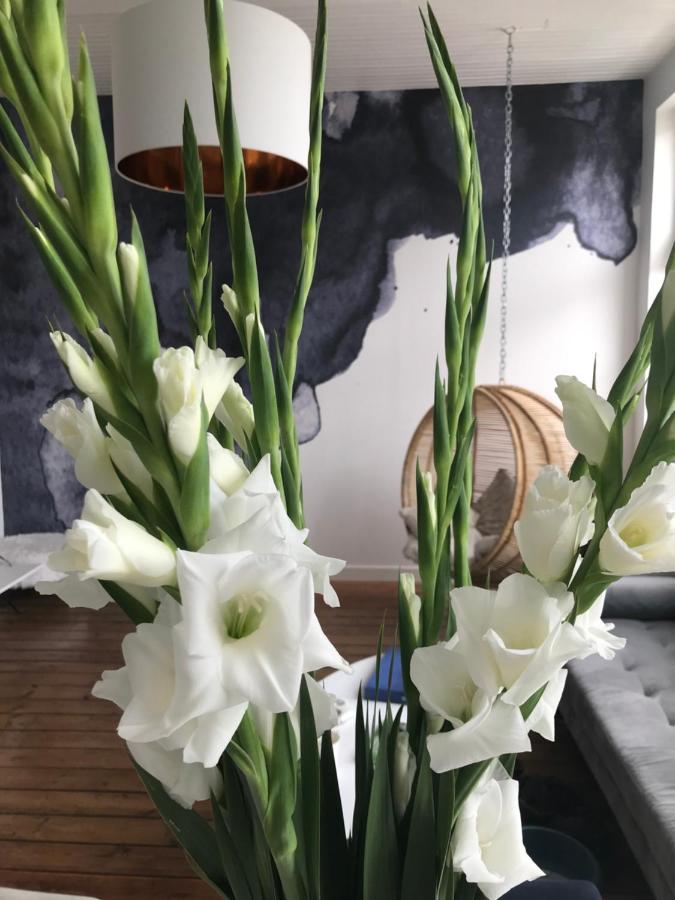 Chambre D 'Hotes Chez Manon Et Hugo 贝休恩 外观 照片